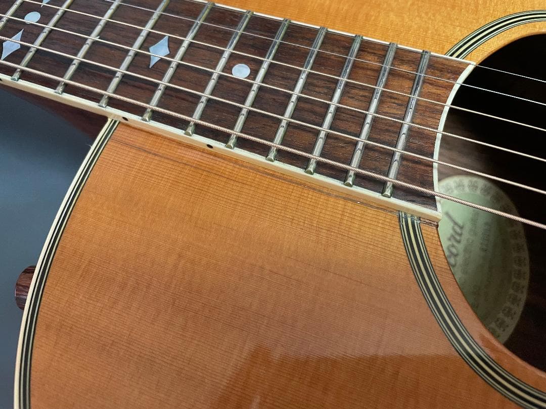ギター Aria Elecord FE-60