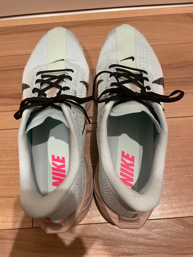 NIKE ペガサスプラス【28.0cm】美品