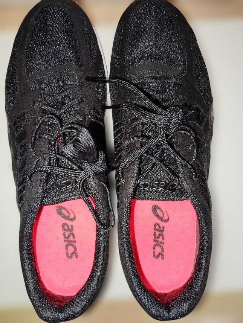 ASICS 27.5cm TARTHERZEAL 6 ターサージール 6