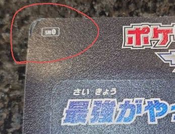 外箱傷あり「ピカチュウと新しい仲間たち」未開封　sm0