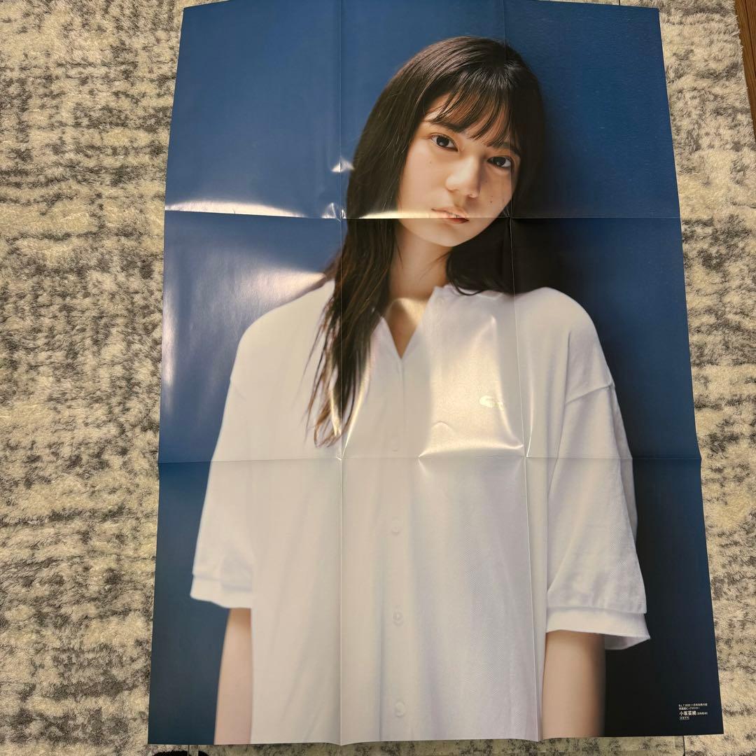 日向坂46 小坂菜緒　まとめ売り　写真集　生写真　ポストカード　タオル　アクスタ