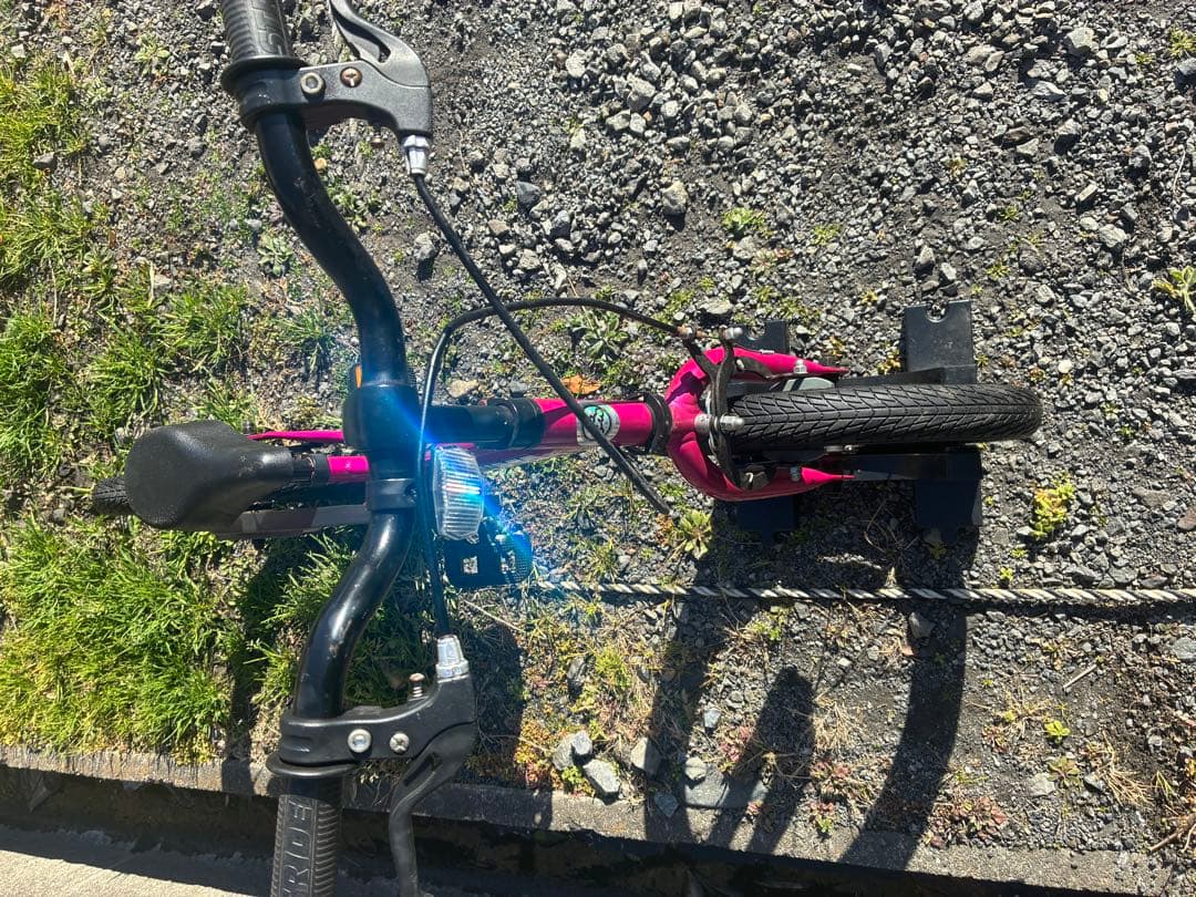 STRIDER 14インチ キッズバイク ペダルキット付き