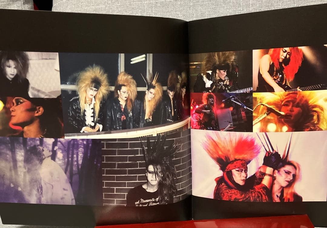 XJAPAN WeareX パンフ＋TOUR '17 写真集＋クリアファイル6種