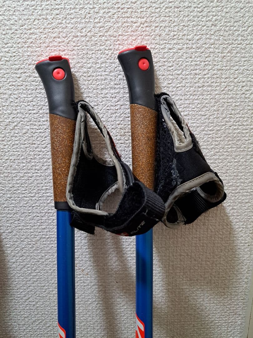 クロスカントリースキーポール　KV+ スキー ストック TEMPESTA