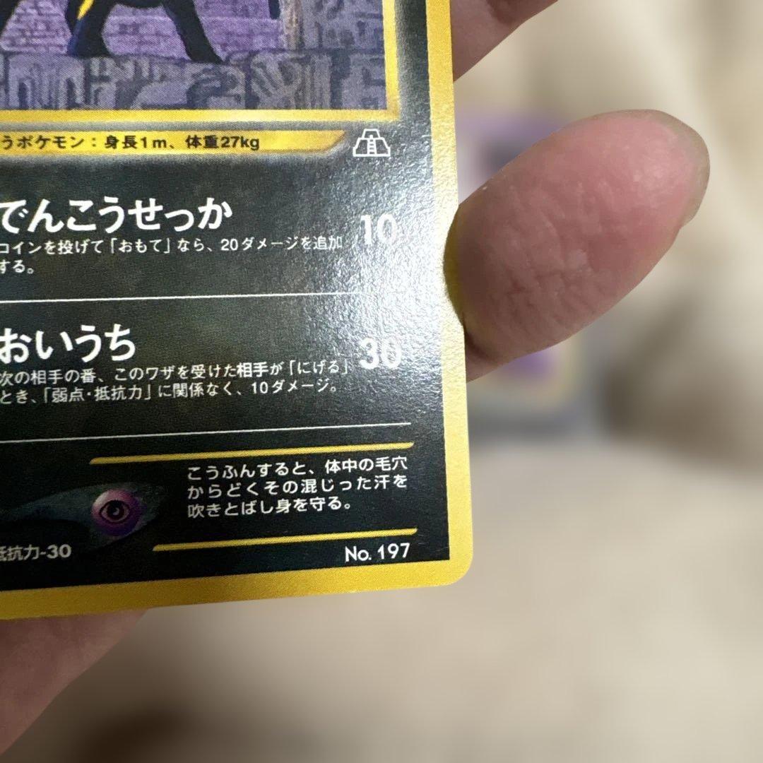 ポケモンカード　旧裏　ブラッキー　プレミアムファイル2