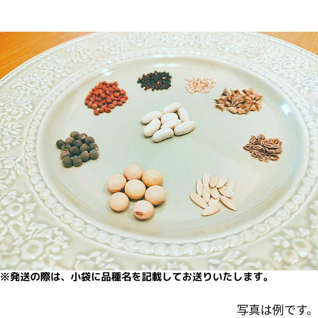 春にまく野菜の種　1,000円セット【2025年　春】