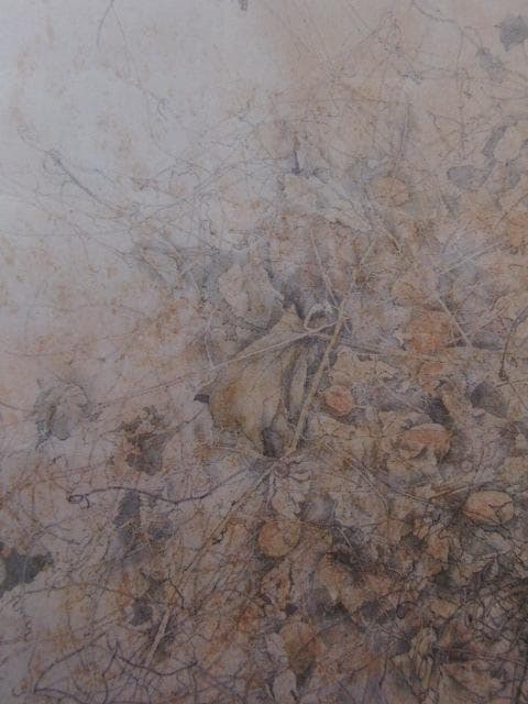 青山博之、【綿の実のある素描】、希少な額装用画集画、新品高級額 額装付