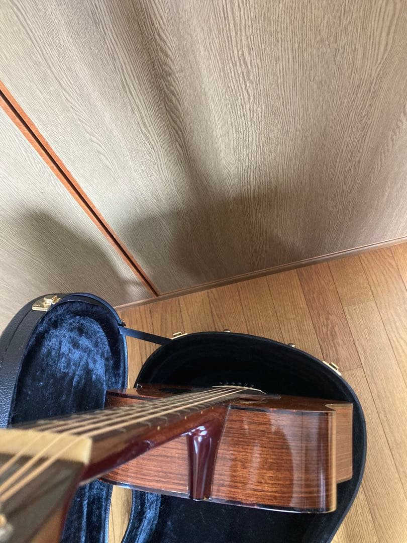 ギター cat's eyes CE 700S