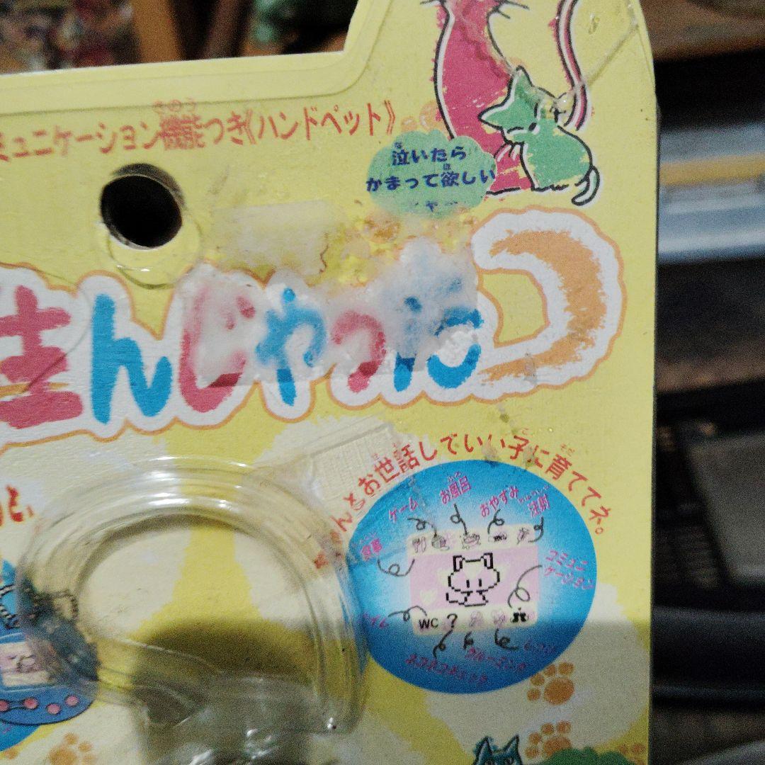 ネコ生んじゃった