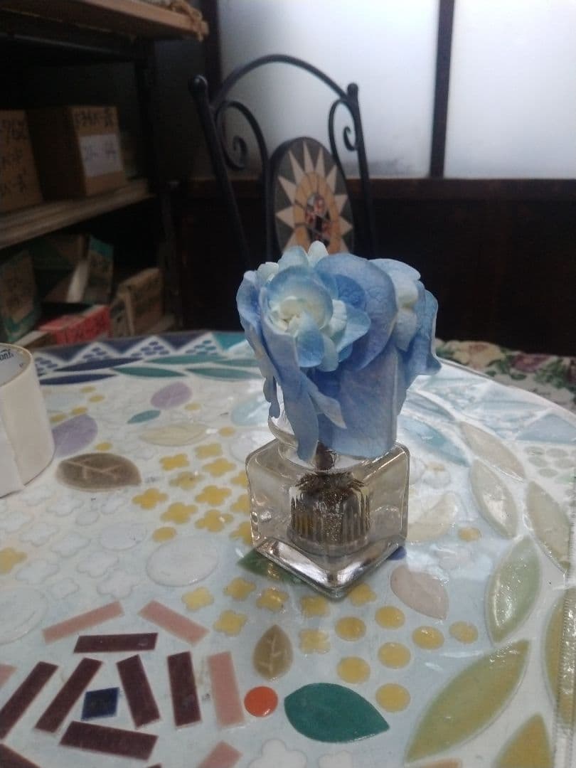 紫陽花