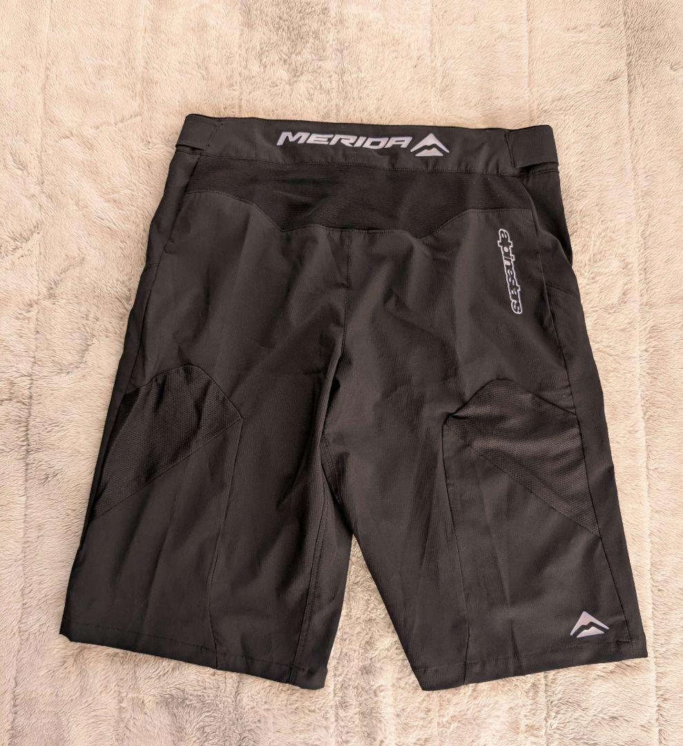 【新品タグ付】アルパインスターズ　マウンテン　ハーフパンツ　黒（32）