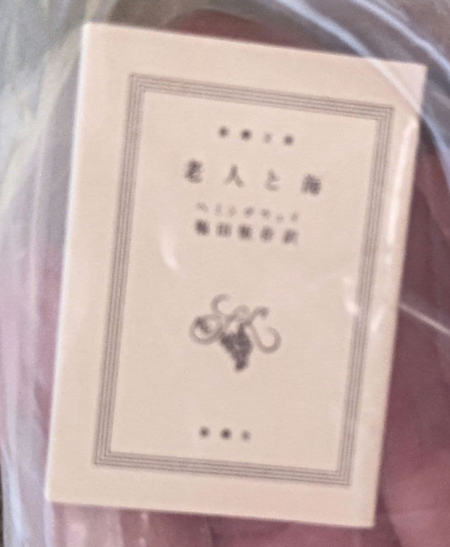 Mr Yonda? Teddy Panda ミニチュアブック付き