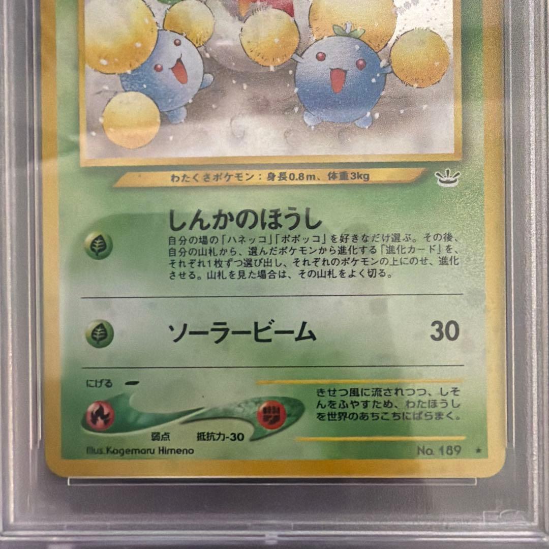 PSA10 ワタッコ neo3 旧裏 拡張パック 第3弾 めざめる伝説