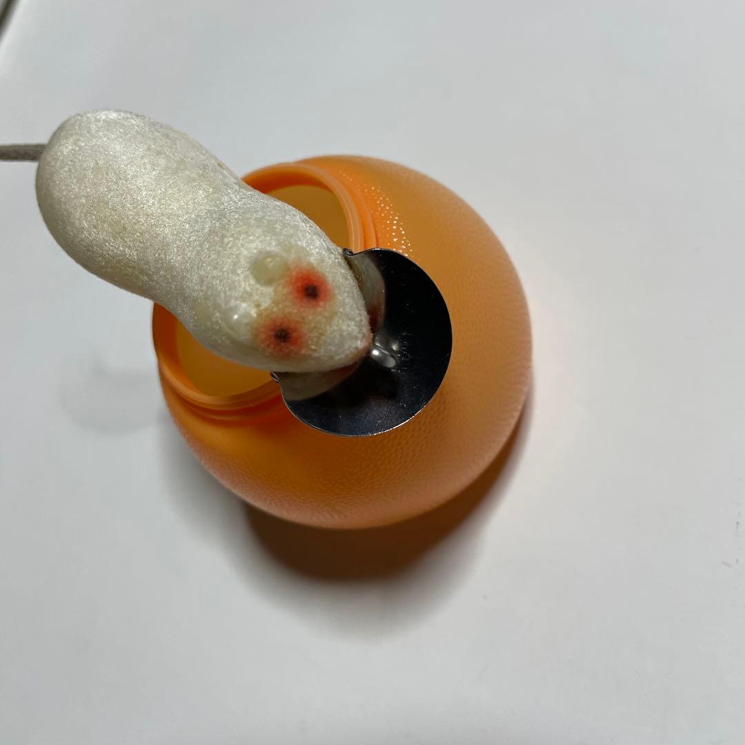 ヘドン メドウマウス heddon meadow mouse 未使用品