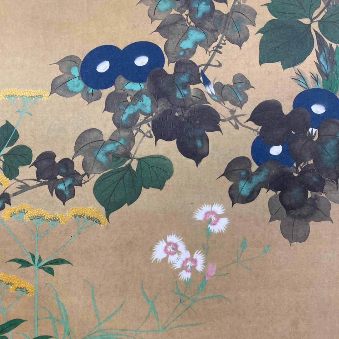 美品 掛け軸 酒井抱一筆「七草図」印刷 おもてなし 名画