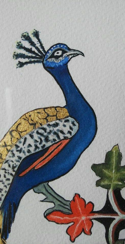 水彩画★Peacock★Colin Lamb作