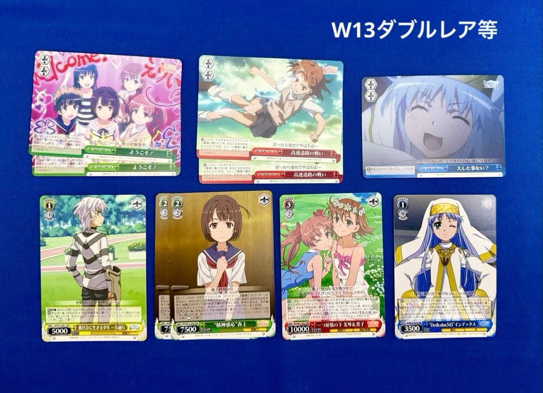 ヴァイスシュヴァルツカード（W10/13）226枚　解説書/プレイマット付き