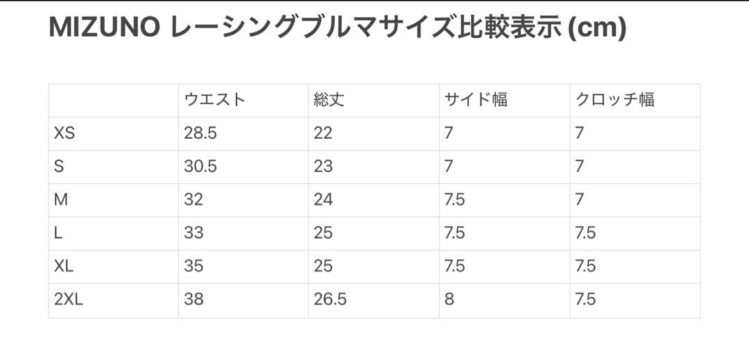 【新モデル】 MIZUNO ハイレグレーシングブルマ(黒Lサイズ)