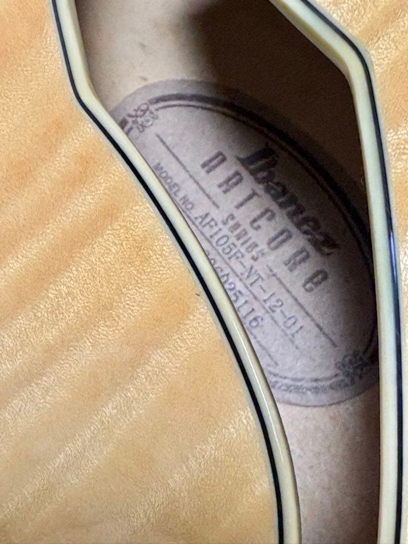 お値下げ御依頼分 Ibanez AF105F-NT-12-01 フルアコ