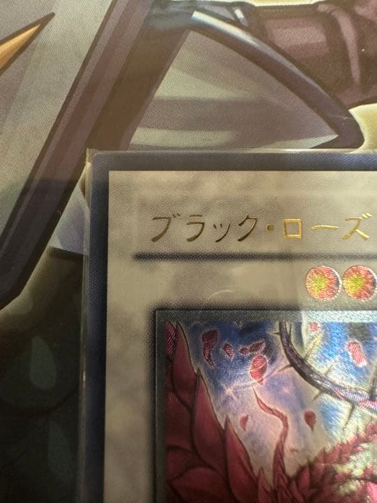 遊戯王 ブラック・ローズ・ドラゴン　レリーフ