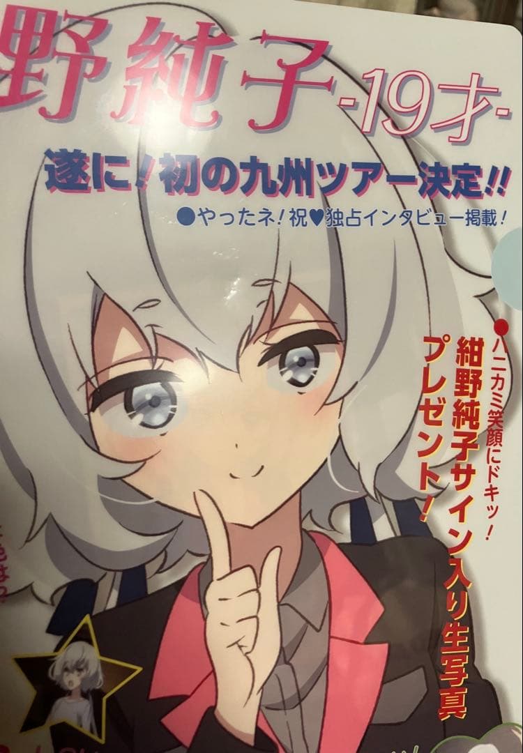 伝説の昭和のアイドル 紺野純子セット ゾンビランドサガ