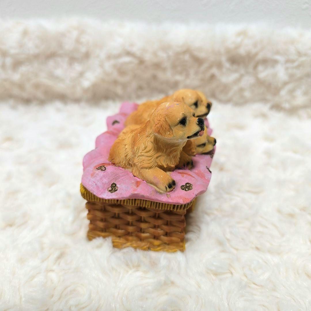 新品 かわいい子犬 小物入れ 外箱あり