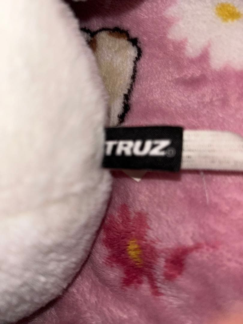 TRUZ LINEフレンズ ジフン ROMY ロミ ジャンボぬいぐるみ BIG