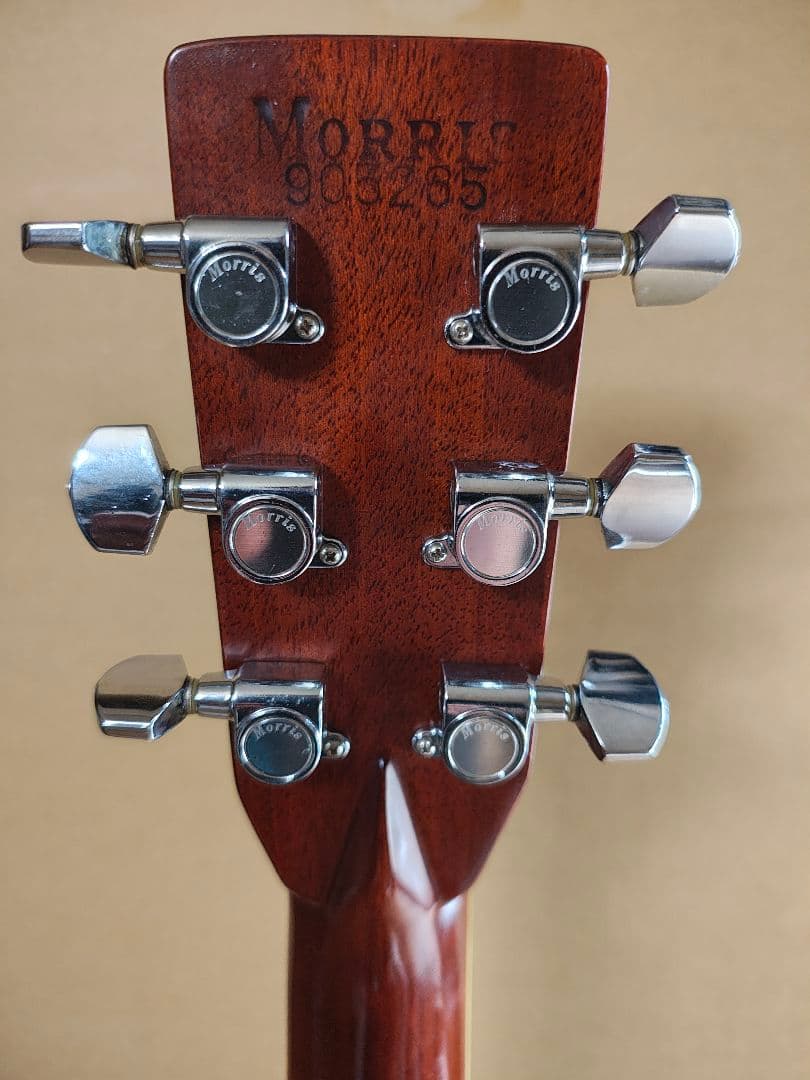 MORRIS　w50 サンバースト