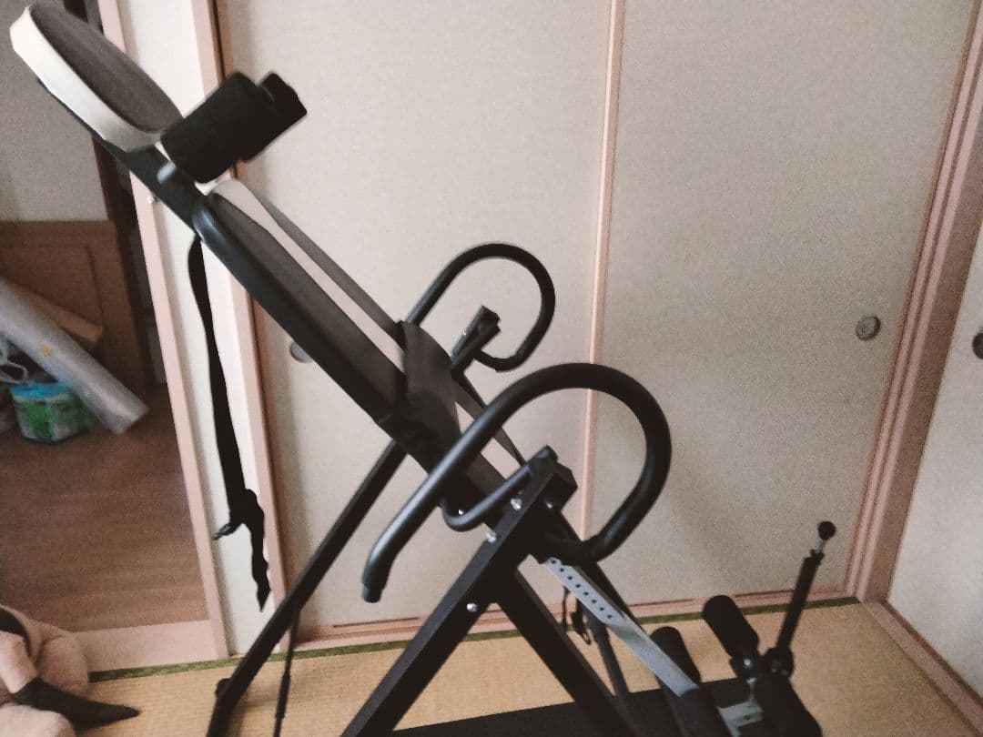 【タカケン】逆ぶら下がり健康器　フィットネス　筋トレ【美品】