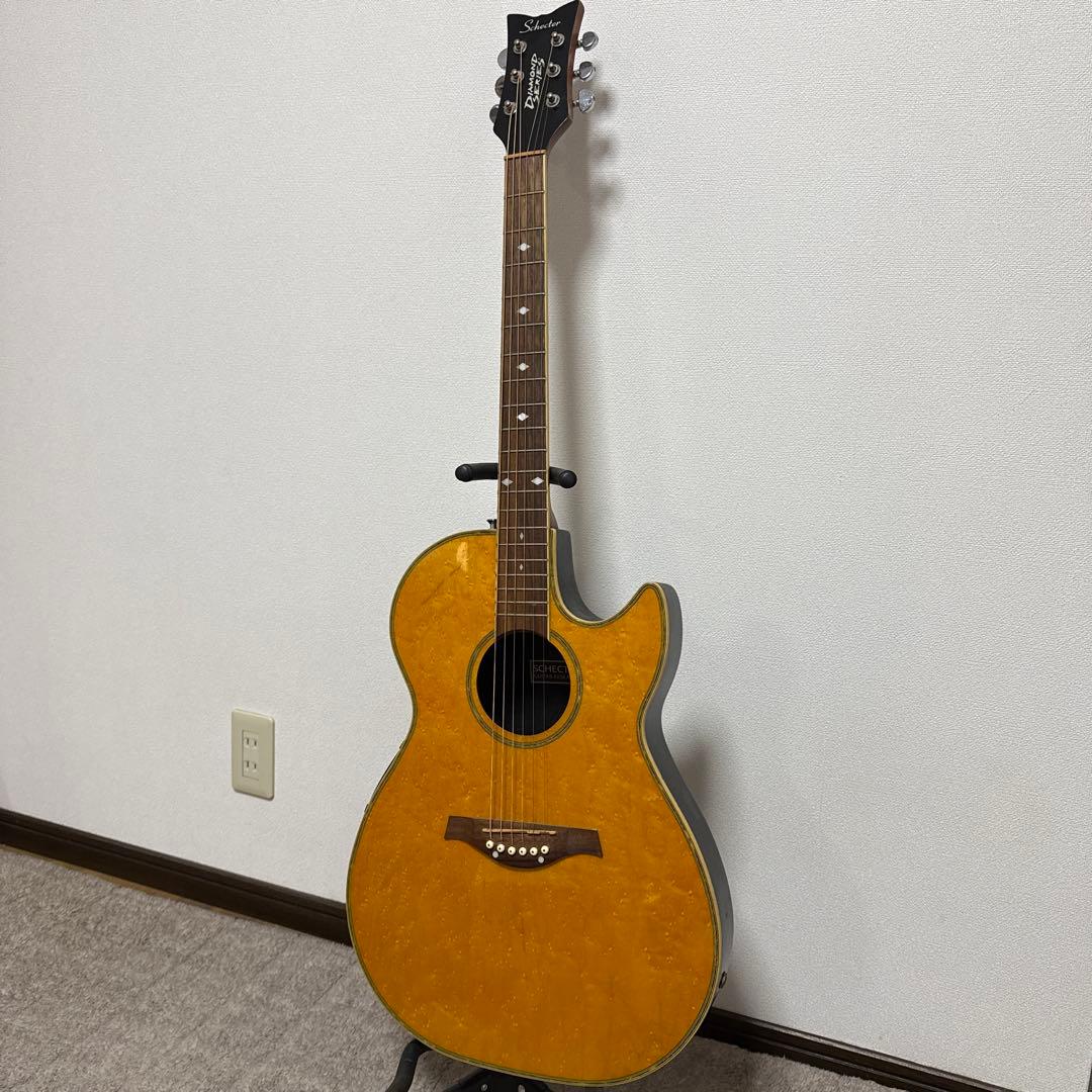 ボ*ン様 Schecter エレクトリックアコースティックギター