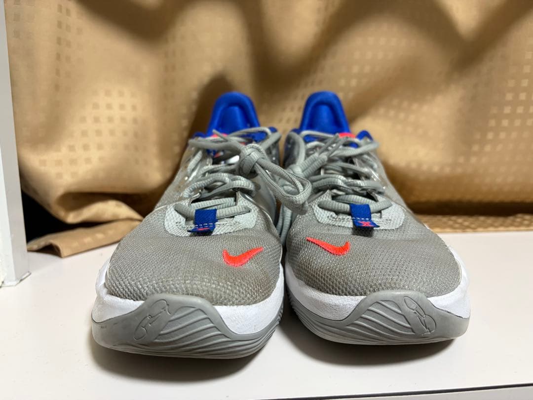 シューズ(男性用) NIKE PG5 Clippers llic Silver 27.5