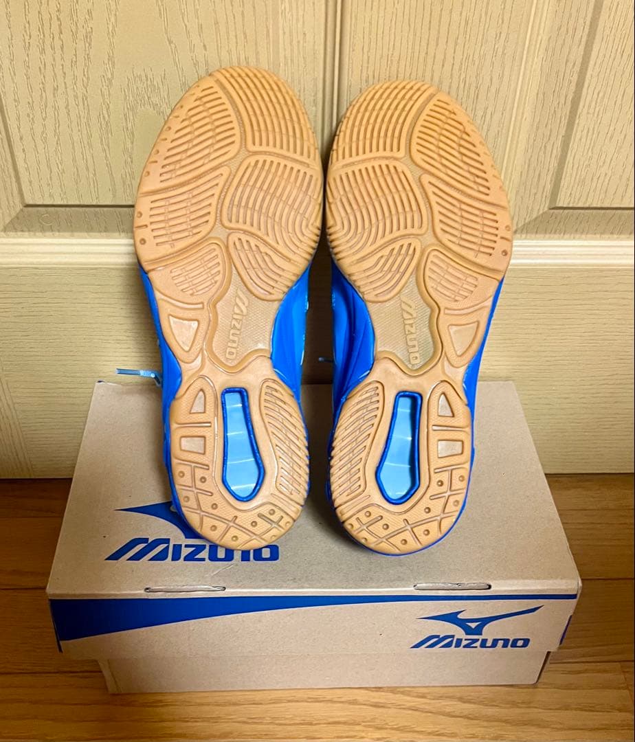 ★新品・未使用★ミズノ★バレーボールシューズ★26㎝★