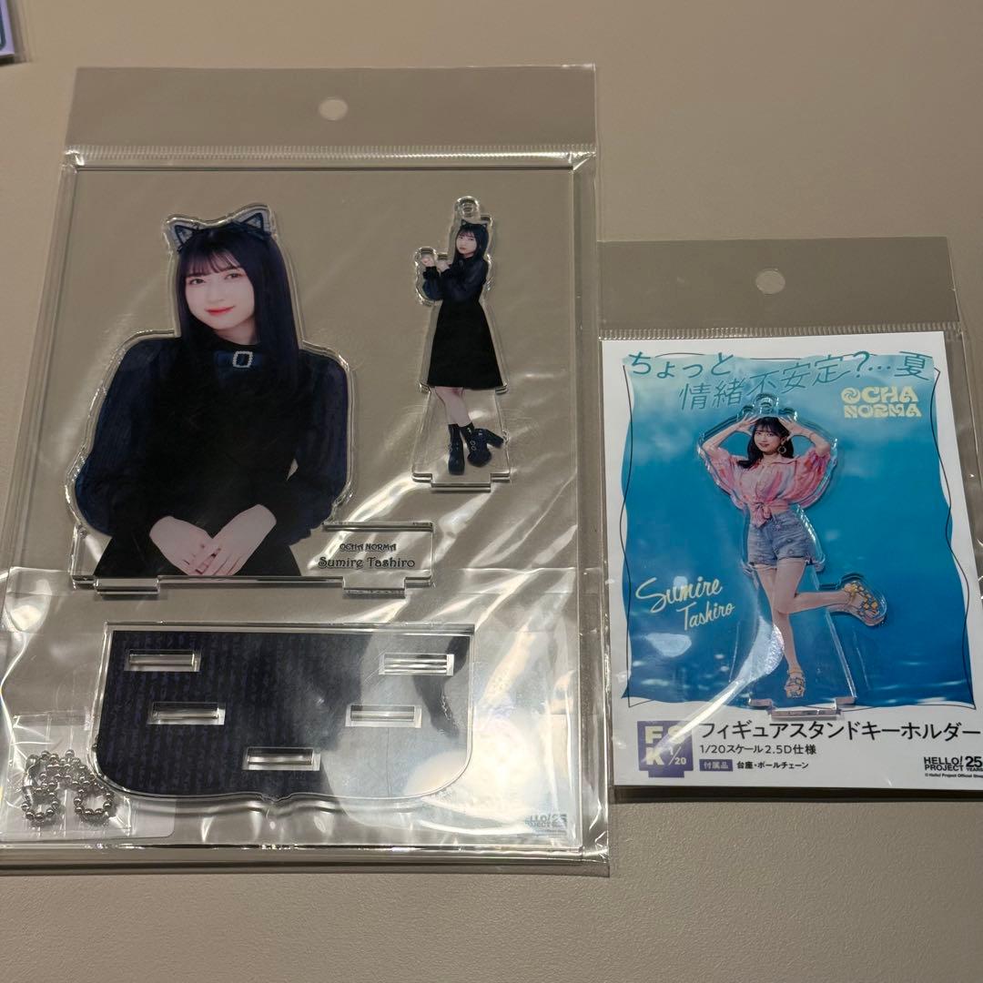 【値下げ】田代すみれ　FSK まとめ売り