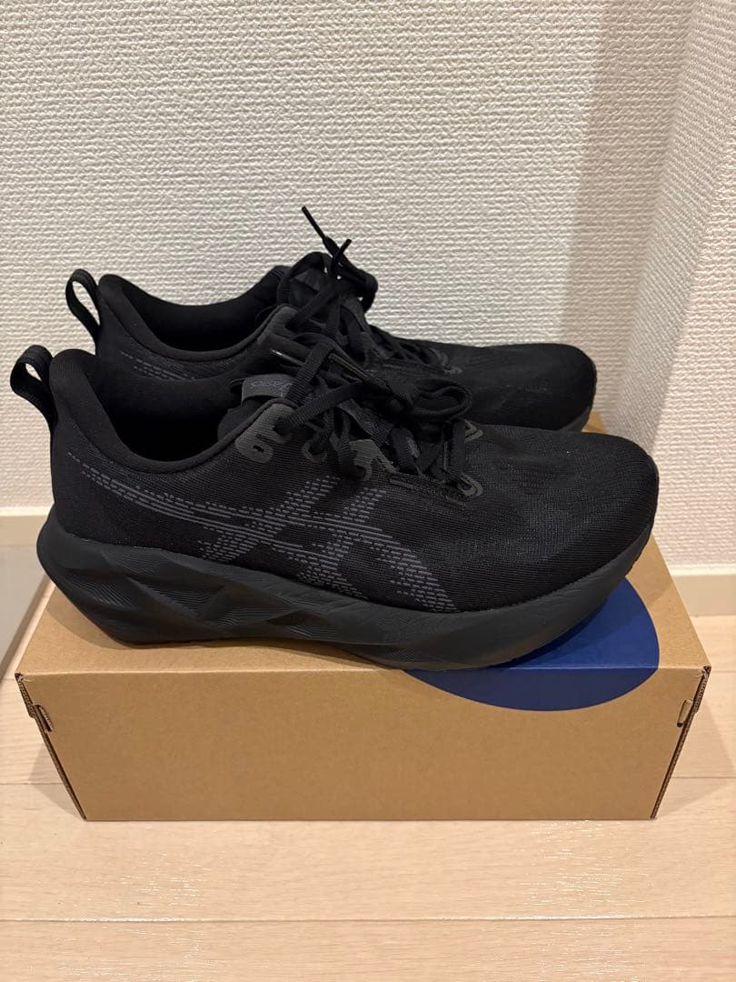 ASICS NOVABLAST5 ランニングシューズ 26.0cm