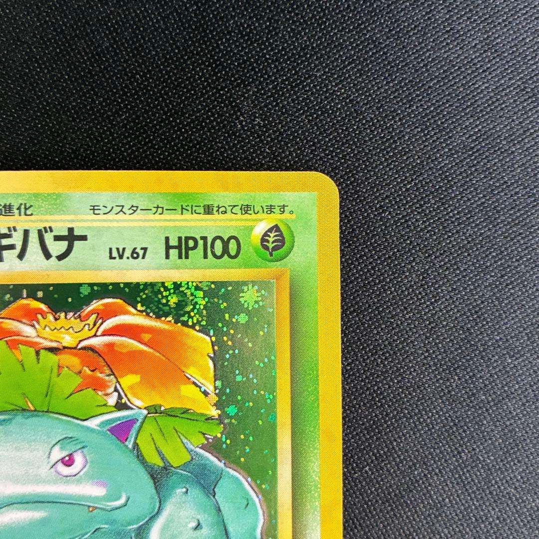 美品 フシギバナ 旧裏 渦巻きホロ