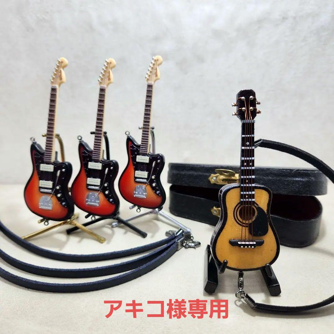 アキコ　フェンダー /アコギ 4点セット