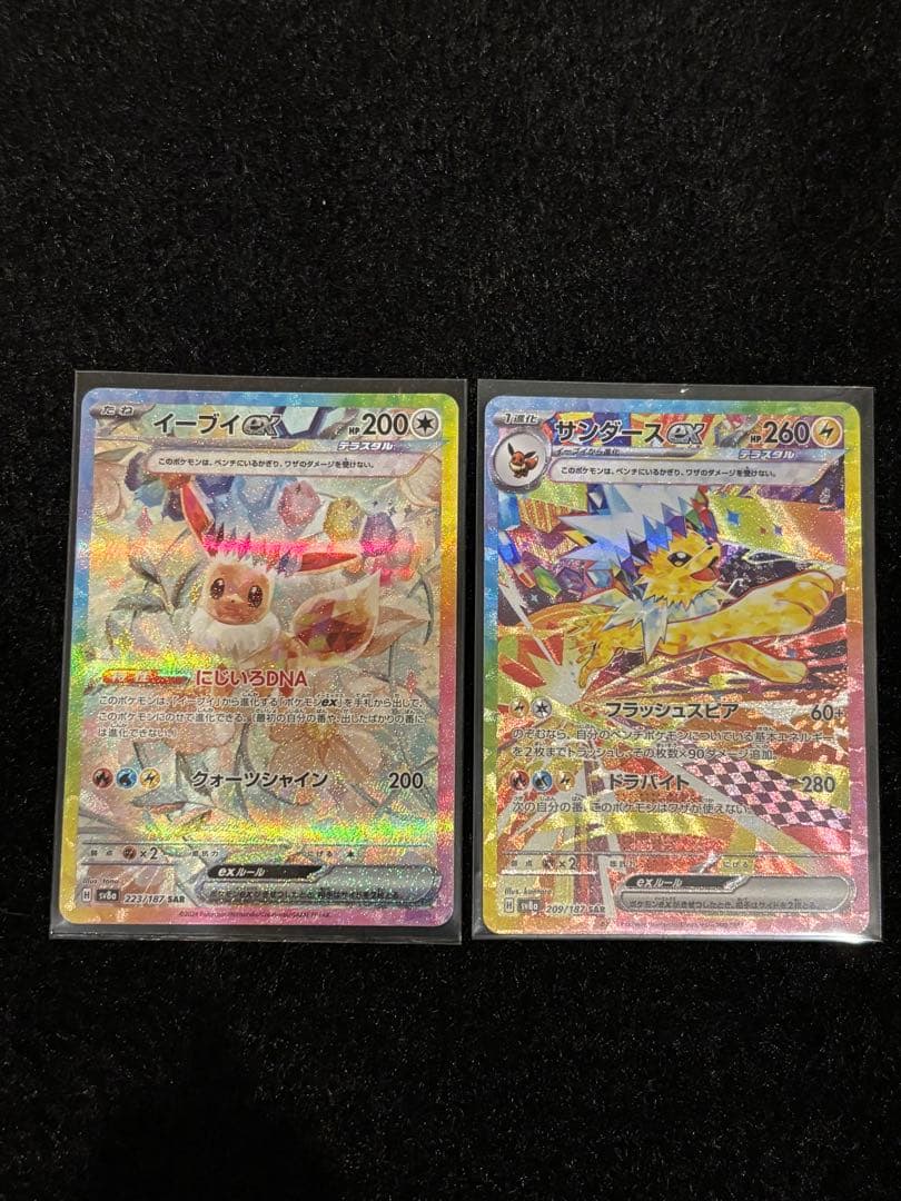 サンダースex SAR イーブイ ex SARテラスタルフェスex