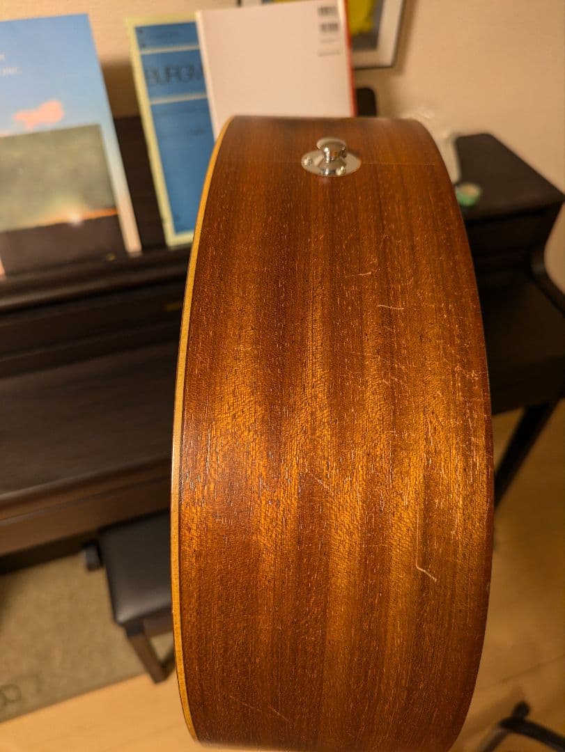 taylor gs mini　マホガニー