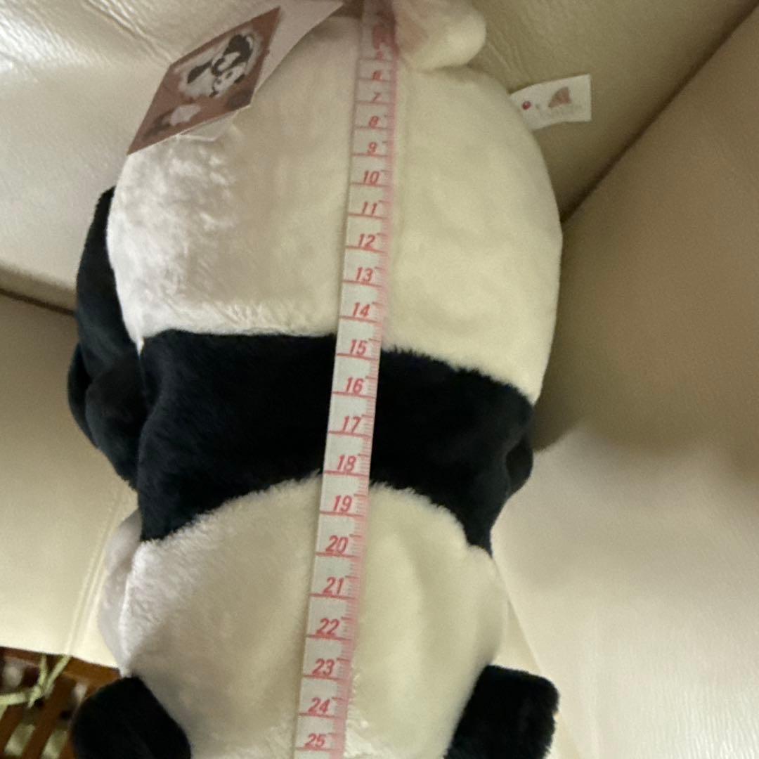 アドベンチャーワールド　彩浜　2才 ぬいぐるみ