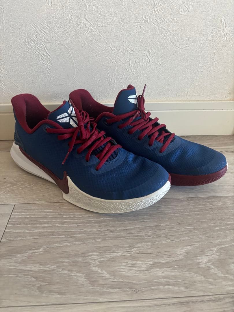 シューズ(男性用) NIKE KOBE MAMBA FOCUS 29.0cm US11