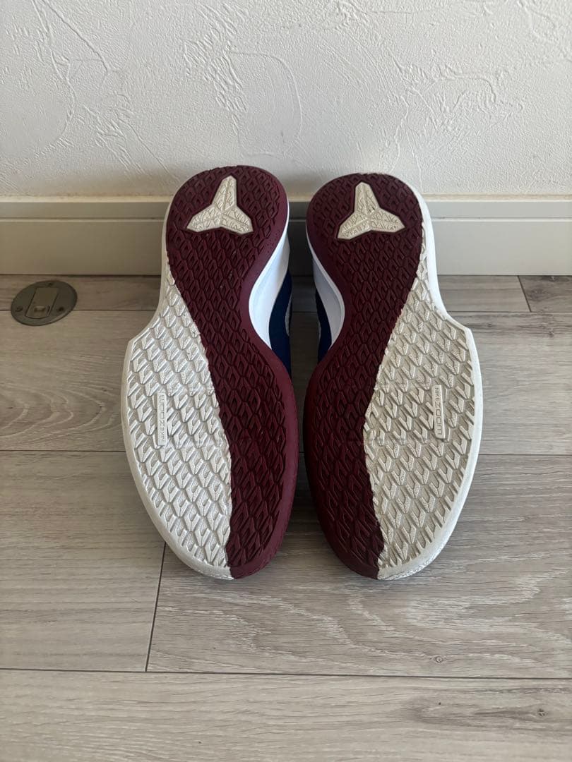 シューズ(男性用) NIKE KOBE MAMBA FOCUS 29.0cm US11