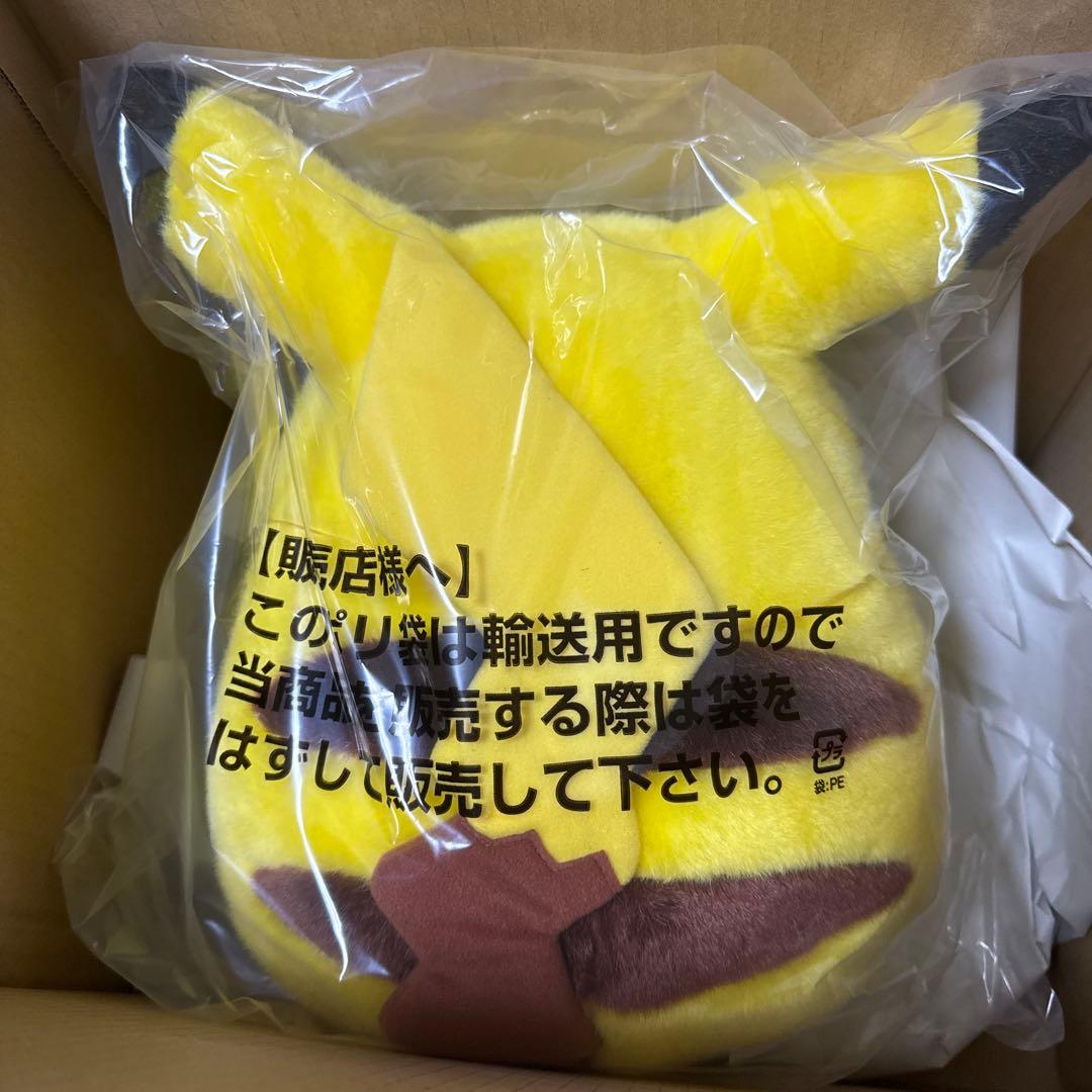 ポケットモンスター　おかえり!ピカチュウ1/1 ポケモン30周年記念