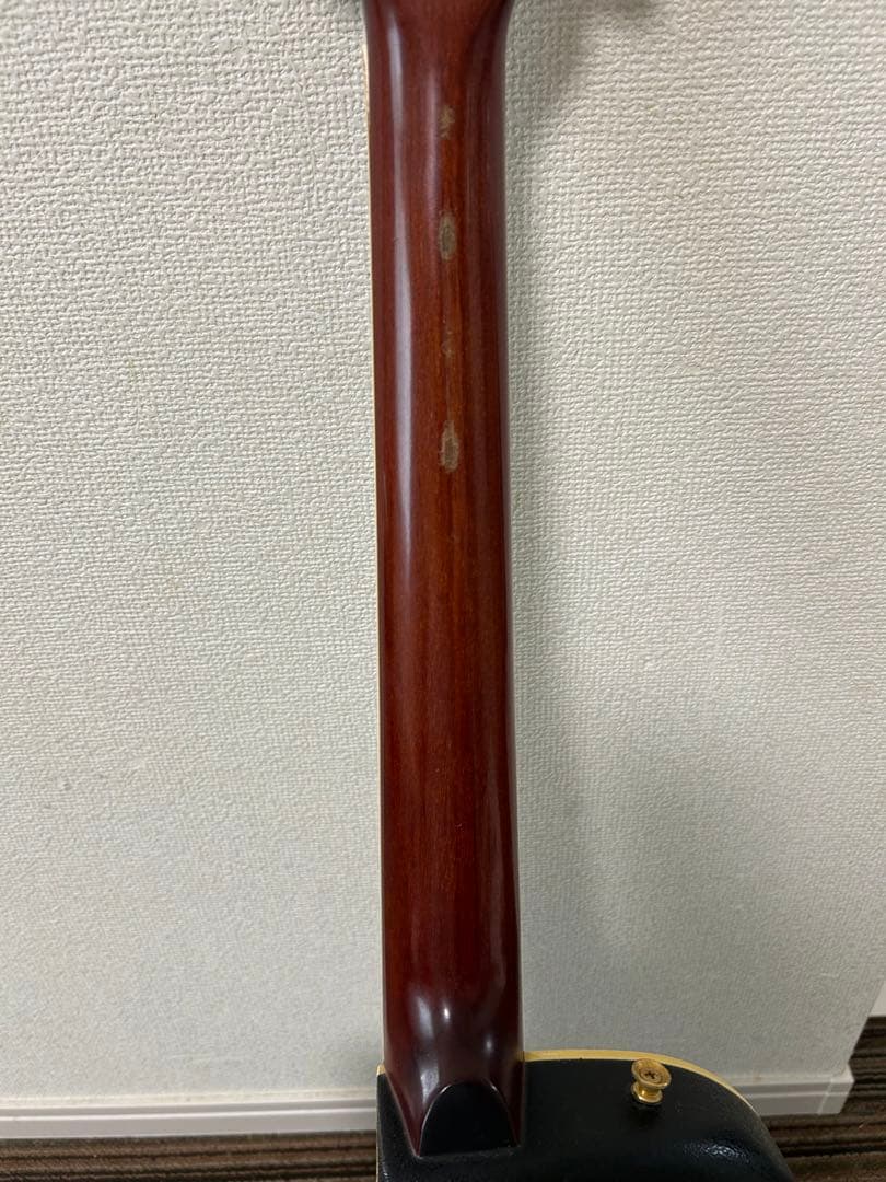 ギター MORRIS TORNADO ZII