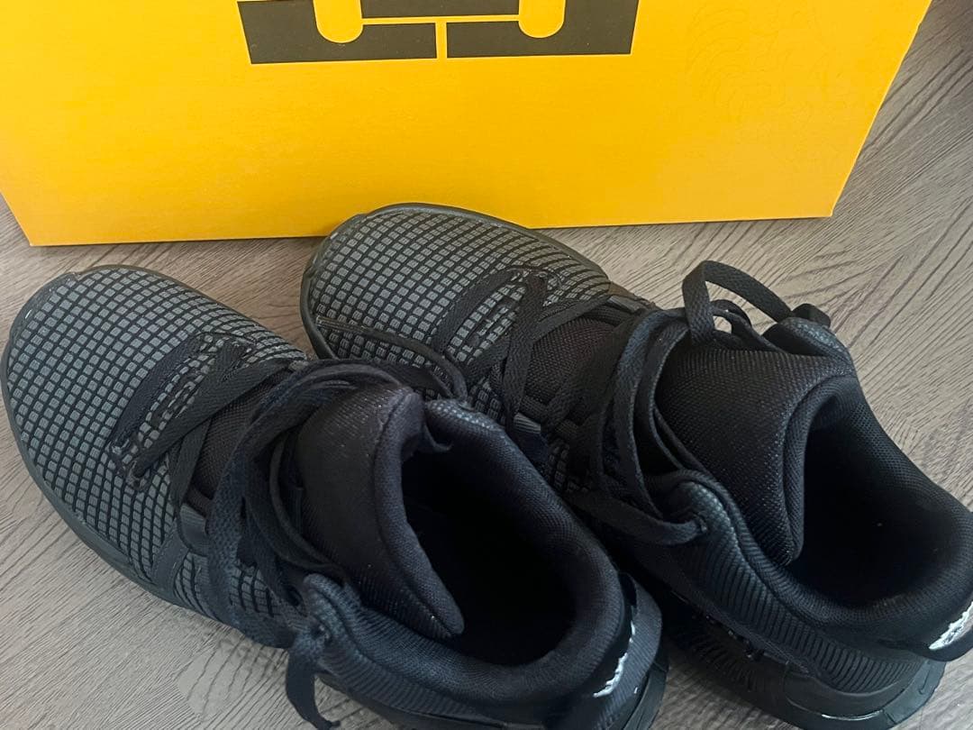 LEBRON WITNESS VII EP 25cm 美品
