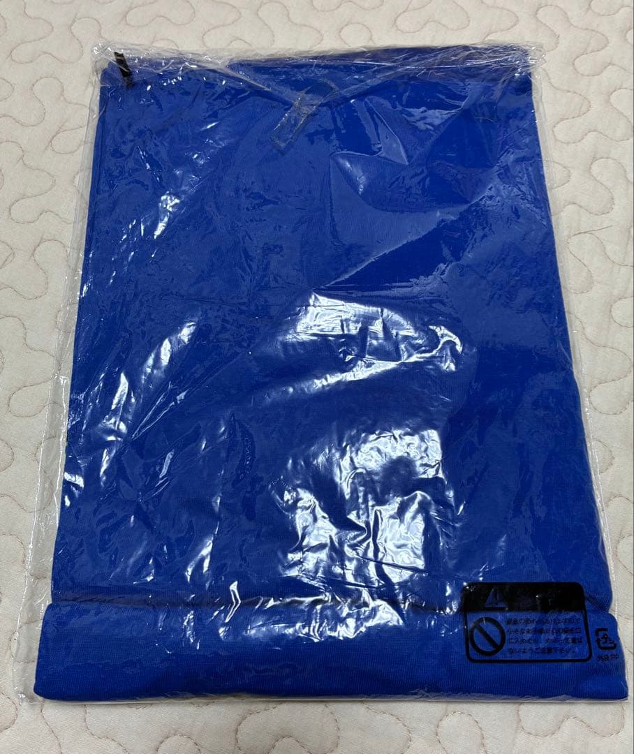 TUBE galaxxxyコラボ 夏10’sレア　Tシャツ　Lサイズ