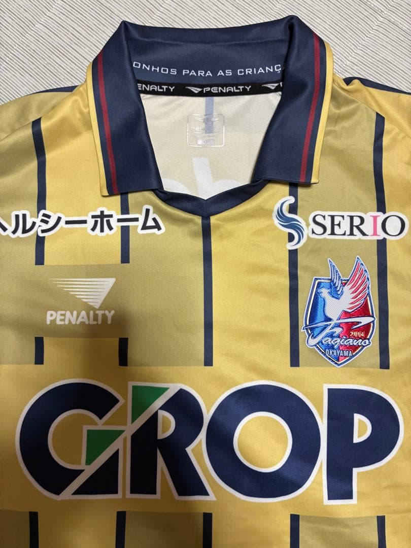ファジアーノ岡山ユニフォーム 3rd GK 未使用