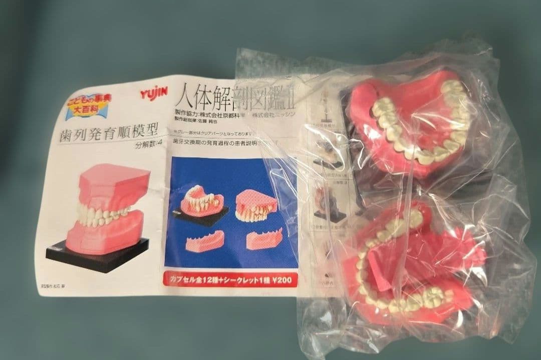 ユージン 人体解剖図鑑II 未開封 9種