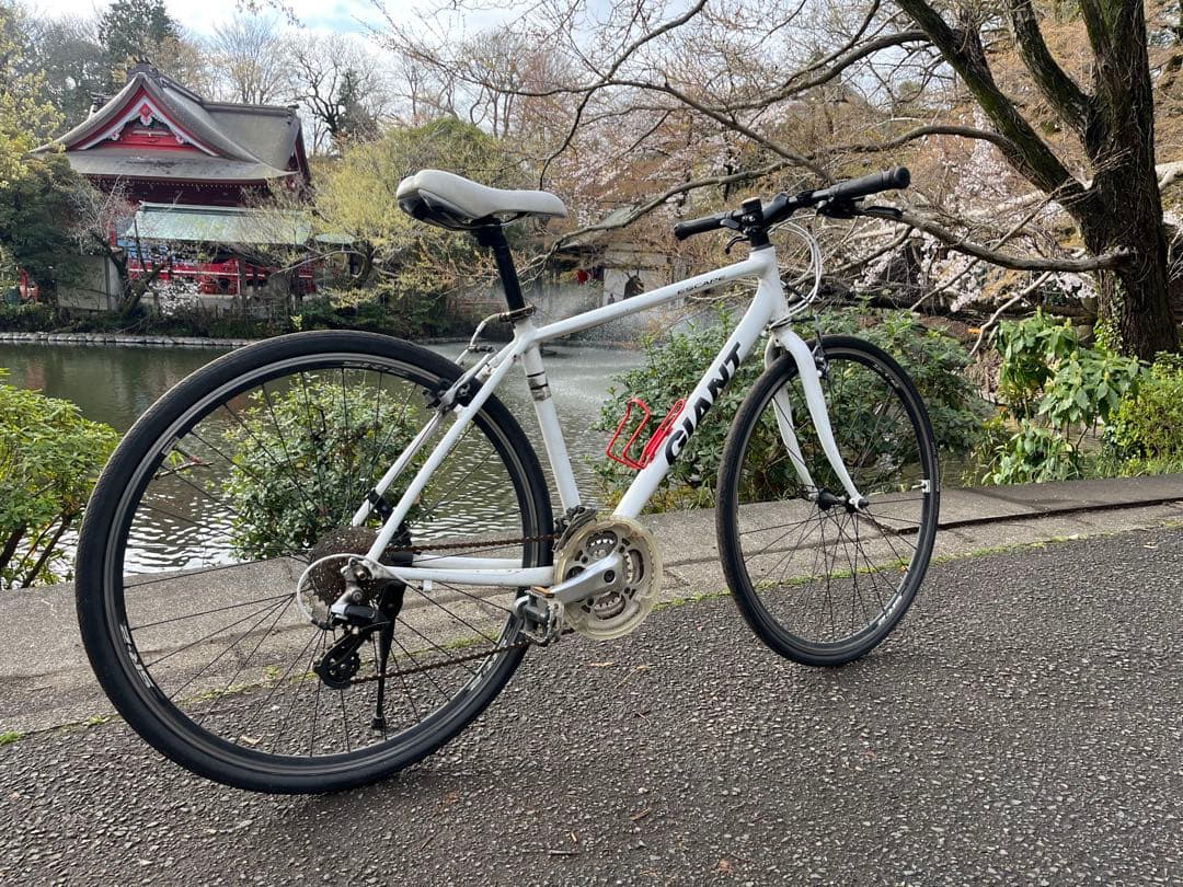 ⭐️おまけ付き⭐️GIANT ESCAPE R3 ホワイトSサイズ
