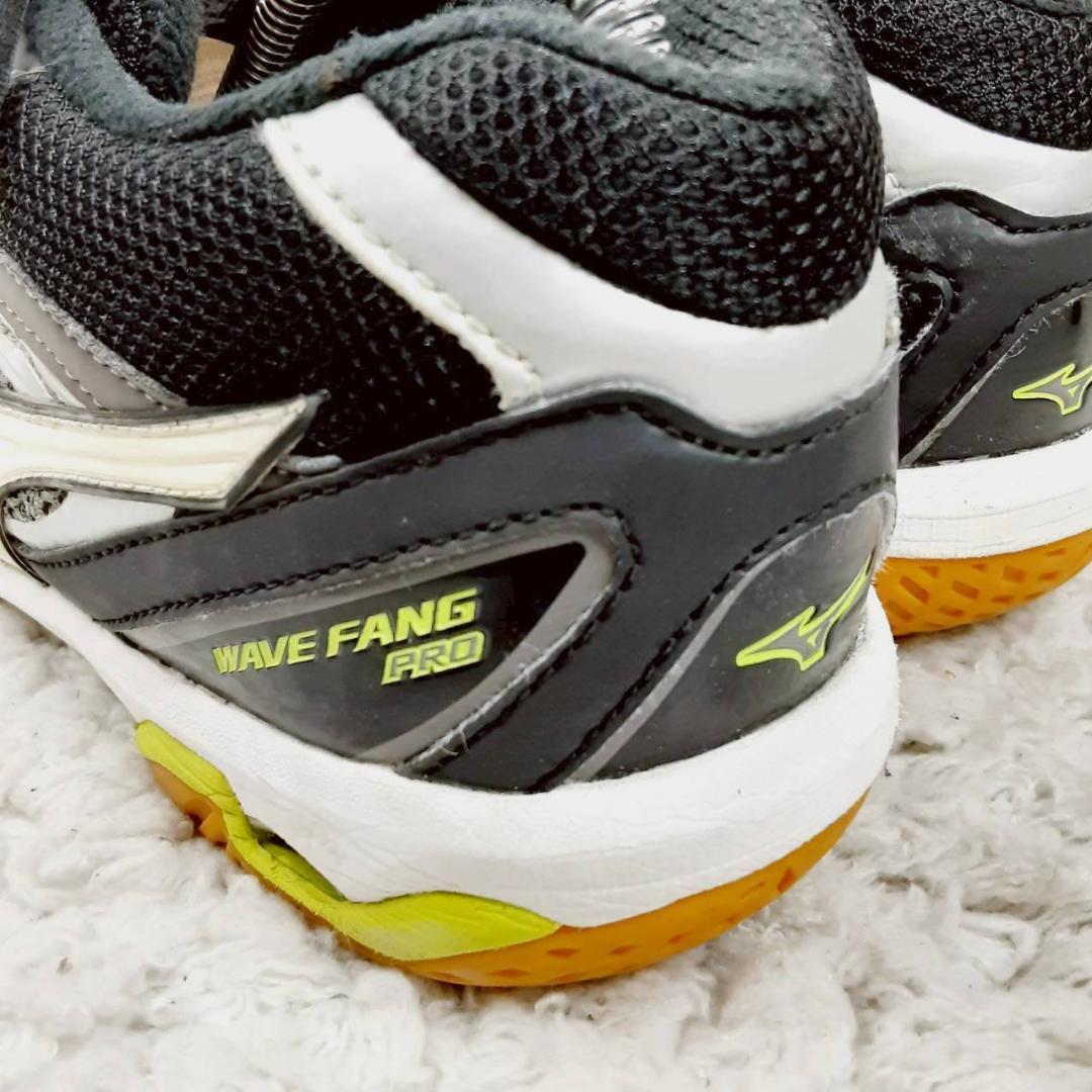 美品 25㎝◎MIZUNO WAVE FANG PRO バドミントンシューズ