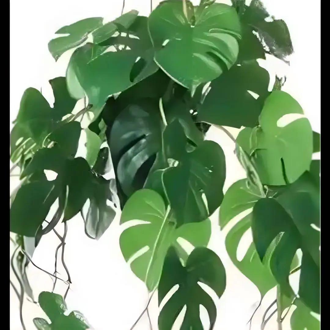 光触媒　人工観葉植物　ウォールグリーン　フェイクグリーン　ヒメモンスハンギング